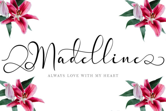 Madelline: A Delicate Script Handwritten Font for Editorial Elegance