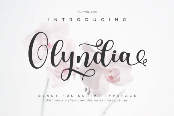 Olyndia: Elegant Script Handwritten Font for Small Business Branding