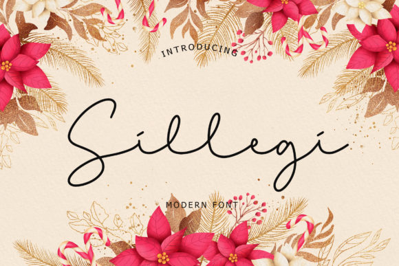 Sillegi: A Romantic Script Handwritten Font for Makers
