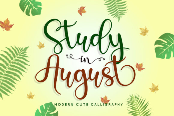 Study in August Font: Elegant Script Handwritten Fonts for Makers