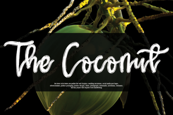 The Coconut Script Handwritten Font for Modern Brand Campaigns